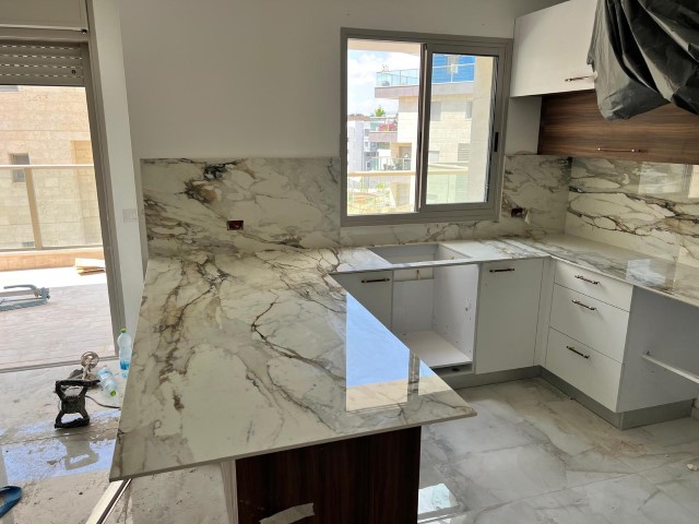 עבודות של ג'וליאן שיש עבודות של ג'וליאן שיש